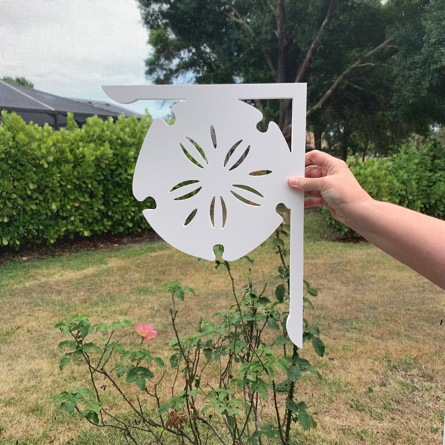 Sand Dollar Mailbox Bracket - Coastal Outdoor Decor, 12x16 inch