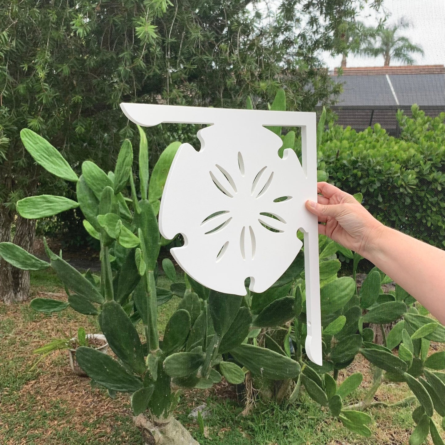 Sand Dollar Mailbox Bracket - Coastal Outdoor Decor, 12x16 inch