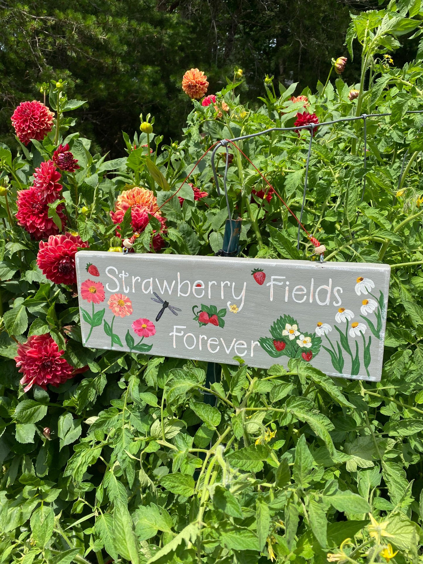 Strawberry Fields Forever | Custom Hand Painted Garden Sign | Unique Garden Gift for Gardeners